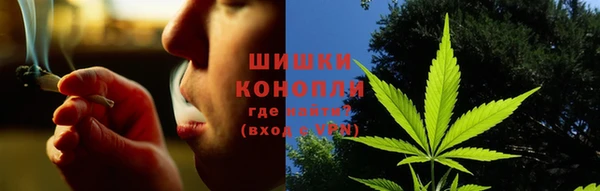 крисы Бугульма