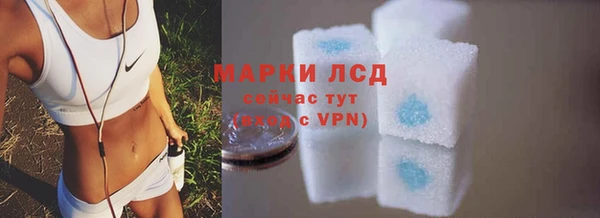 крисы Бугульма