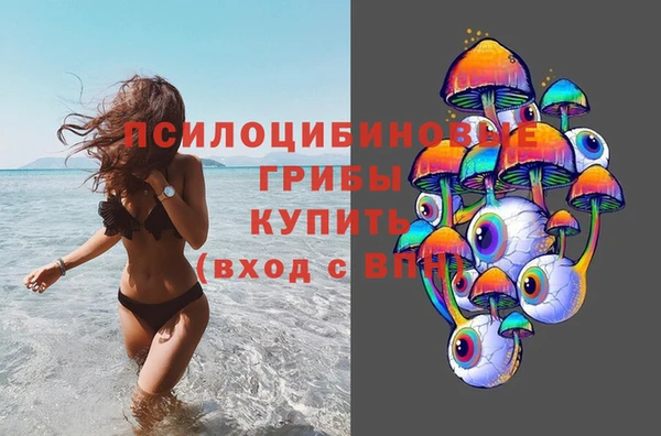 mdpv Бронницы