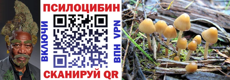 купить наркотики цена  Комсомольск-на-Амуре  Галлюциногенные грибы Magic Shrooms 